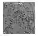 Fig. 01 - Method of magnetite and ferrite nanoparticle synthesis
