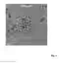 Fig. 04 - Method of magnetite and ferrite nanoparticle synthesis