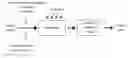 Fig. 01 - METHOD FOR PURIFICATION OF SUBSTANCES CONTAMINATED WITH ORGANIC CHEMICALS