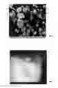 Fig. 02 - CEMENT COMPOSITIONS FOR WELLBORE CEMENTING OPERATION
