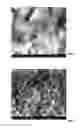 Fig. 05 - CEMENT COMPOSITIONS FOR WELLBORE CEMENTING OPERATION