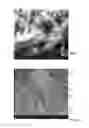 Fig. 06 - CEMENT COMPOSITIONS FOR WELLBORE CEMENTING OPERATION