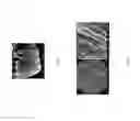Fig. 02 - Carbon composites