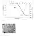 Fig. 05 - Method for producing light ceramic materials