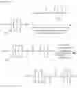 Fig. 60 - Amino acid derivatives