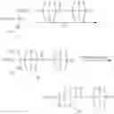 Fig. 66 - Amino acid derivatives