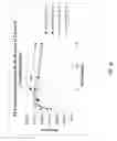 Fig. 18 - Generation of peroxyformic acid through polyhydric alcohol formate