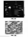 Fig. 07 - ASYMMETRICALLY CHARGED NIR FLUOROPHORES