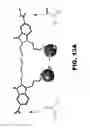 Fig. 15 - ASYMMETRICALLY CHARGED NIR FLUOROPHORES