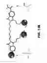 Fig. 16 - ASYMMETRICALLY CHARGED NIR FLUOROPHORES