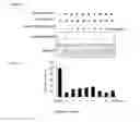 Fig. 02 - Aurora kinase inhibitors
