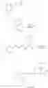 Fig. 09 - Aurora kinase inhibitors