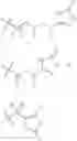 Fig. 05 - Creatine prodrugs, compositions and methods of use thereof