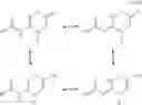 Fig. 12 - Creatine prodrugs, compositions and methods of use thereof