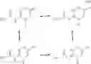 Fig. 98 - Creatine prodrugs, compositions and methods of use thereof