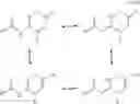 Fig. 99 - Creatine prodrugs, compositions and methods of use thereof