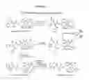 Fig. 02 - Purification of taxanes