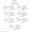 Fig. 07 - Purification of taxanes