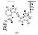 Fig. 07 - DEHYDROLEUCODINE DERIVATIVES AND USES THEREOF