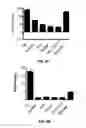 Fig. 11 - DEHYDROLEUCODINE DERIVATIVES AND USES THEREOF