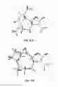 Fig. 15 - DEHYDROLEUCODINE DERIVATIVES AND USES THEREOF