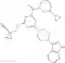 Fig. 312 - Axl inhibitors