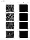 Fig. 19 - Cyanine compounds