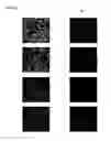 Fig. 20 - Cyanine compounds