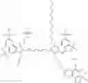 Fig. 192 - Benzocyanine compounds