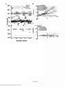 Fig. 10 - High-Throughput Assay for Identifying Small Molecules that Modulate AMP-activated Protein Kinase (AMPK)