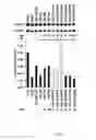 Fig. 13 - High-Throughput Assay for Identifying Small Molecules that Modulate AMP-activated Protein Kinase (AMPK)