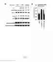 Fig. 16 - High-Throughput Assay for Identifying Small Molecules that Modulate AMP-activated Protein Kinase (AMPK)