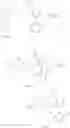 Fig. 155 - Hydroxy containing FXR (NR1H4) modulating compounds