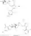 Fig. 310 - Hydroxy containing FXR (NR1H4) modulating compounds