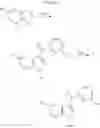 Fig. 1896 - COMPOUNDS AND METHODS FOR KINASE MODULATION, AND INDICATIONS THEREFOR
