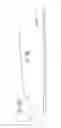 Fig. 41 - Solid state forms of fused heteroaromatic pyrrolidinones
