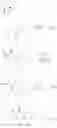 Fig. 125 - Polycyclic-carbamoylpyridone compounds and their pharmaceutical use