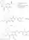 Fig. 131 - Polycyclic-carbamoylpyridone compounds and their pharmaceutical use