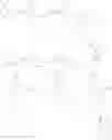 Fig. 31 - Heterocyclic compound