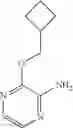 Fig. 110 - SUBSTITUTED IMIDAZO[1,2-A]PYRAZINECARBOXAMIDES AND USE THEREOF
