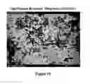 Fig. 23 - Short-acting benzodiazepine salts and their polymorphic forms