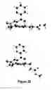 Fig. 48 - Short-acting benzodiazepine salts and their polymorphic forms