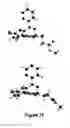 Fig. 49 - Short-acting benzodiazepine salts and their polymorphic forms