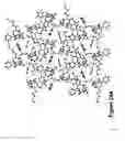 Fig. 52 - Short-acting benzodiazepine salts and their polymorphic forms