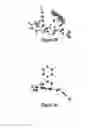 Fig. 57 - Short-acting benzodiazepine salts and their polymorphic forms