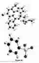 Fig. 65 - Short-acting benzodiazepine salts and their polymorphic forms