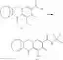 Fig. 21 - Substituted 1,2,3,4,6,8,12,12a-octahydro-1,4-methanodipyrido[1,2-a:1',2'-d]pyrazines and methods for treating viral infections