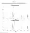 Fig. 06 - PROCESS FOR PREPARING OXYCODONE COMPOSITIONS