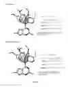 Fig. 12 - Substituted furo[2,3-d]pyrimidines as multi-targeted receptor tyrosine kinase inhibitors and microtubule targeting antitumor agents