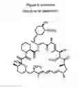 Fig. 09 - Rapamycin analogues and their pharmaceutical use